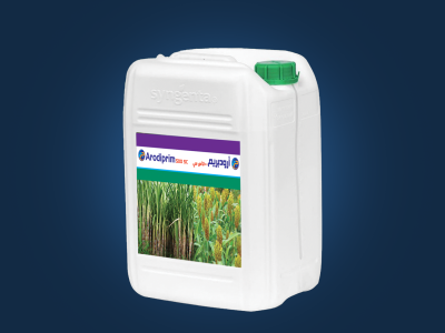 Atrazine is a selective systemic herbicide, absorbed principally through the roots, but also through the foliage, with translocation acropetally in the xylem and accumulation in the apical meristems and leaves. Atrazine is used for pre- and post-emergence controlling of annual broad-leaved weeds and annual grasses in maize, sorghum, sugar cane, pineapples, chemical fallow, grassland, macadamia nuts, conifers, industrial weed control.