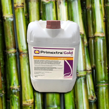 PRIMEXTRA
